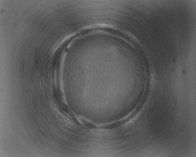 X0000052570921200507011217