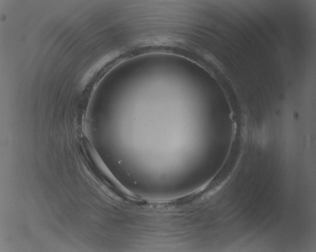 X0000052570922200507011217