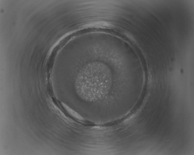 X0000052570923200507011217