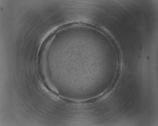 X0000052570924200507011217