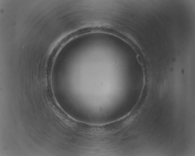 X0000052570927200507011217