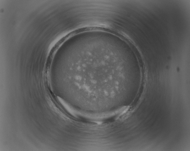 X0000052570928200507011217