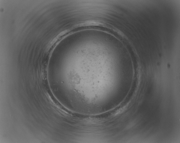 X0000052570929200507011217