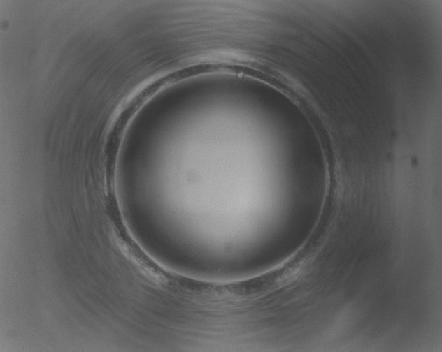 X0000052570931200507011217