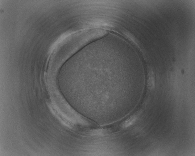 X0000052570932200507011217