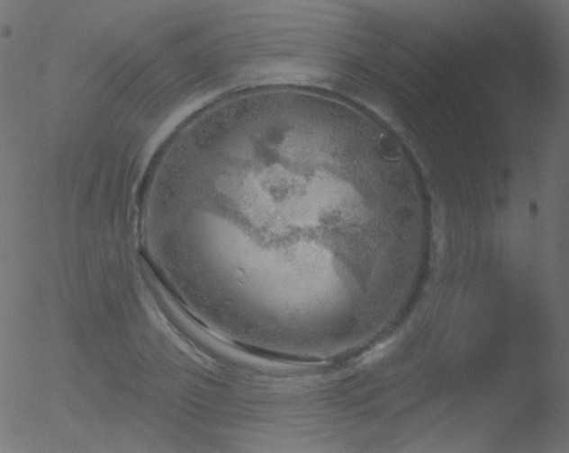 X0000052570933200507011217