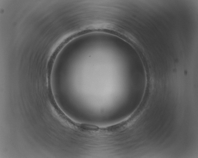 X0000052570934200507011217