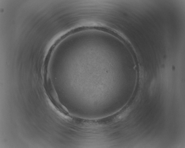 X0000052570935200507011217