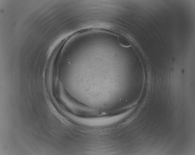 X0000052570936200507011217