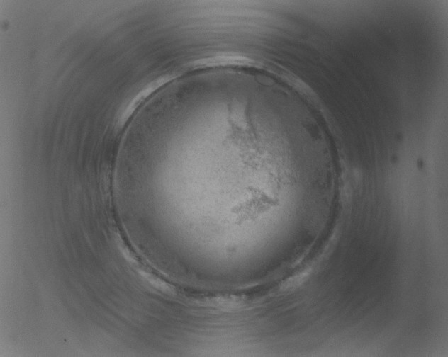 X0000052570937200507011217