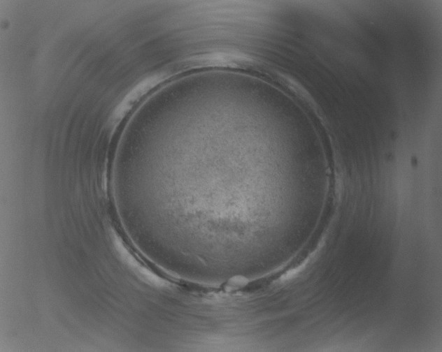 X0000052570938200507011217