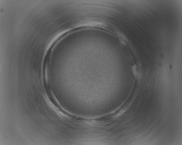 X0000052570940200507011217