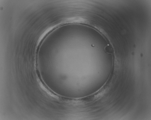 X0000052570941200507011217