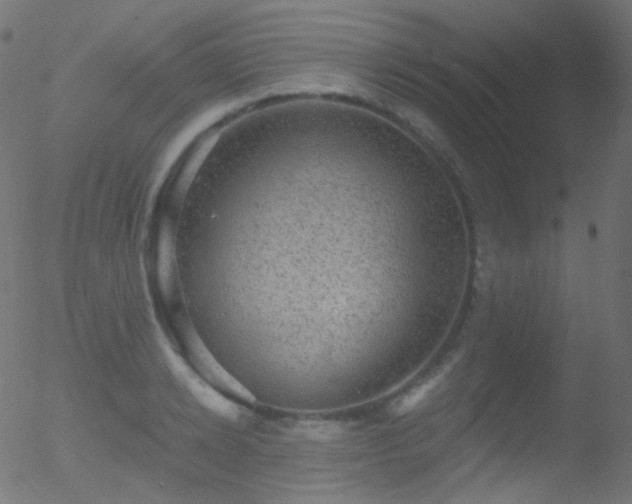 X0000052570942200507011217