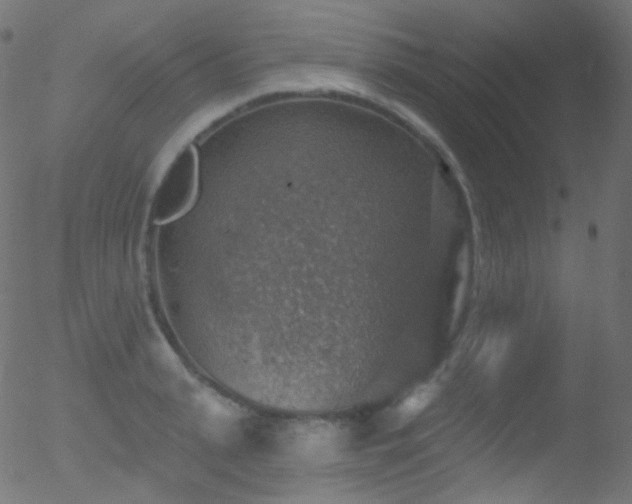 X0000052570943200507011217