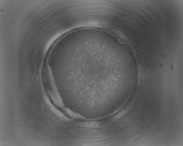 X0000052570944200507011217