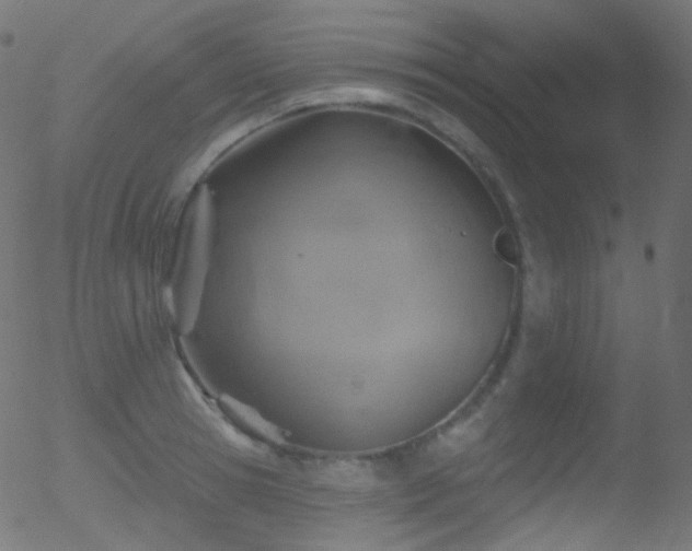 X0000052570945200507011217