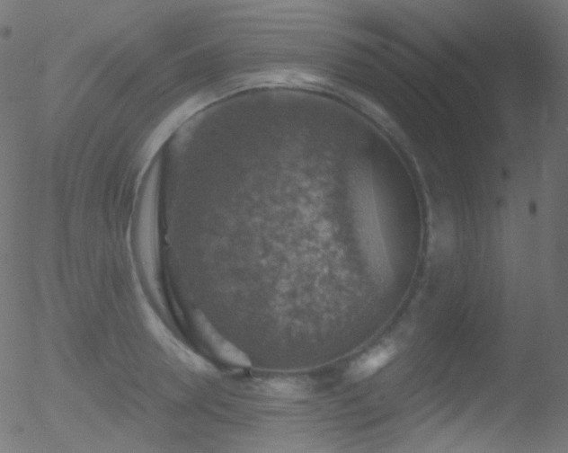 X0000052570946200507011217