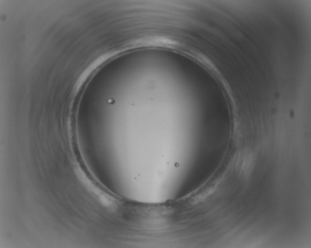 X0000052570947200507011217