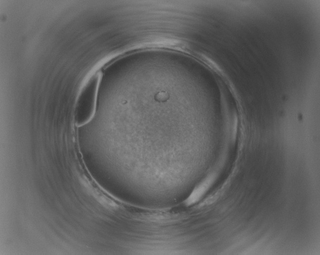 X0000052570948200507011217