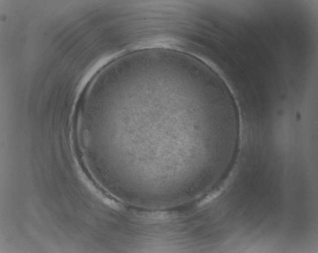 X0000052570949200507011217