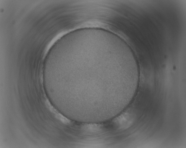 X0000052570950200507011217