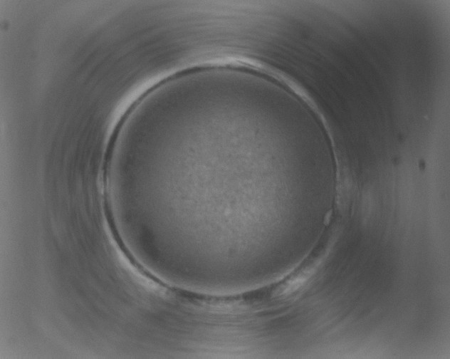 X0000052570951200507011217