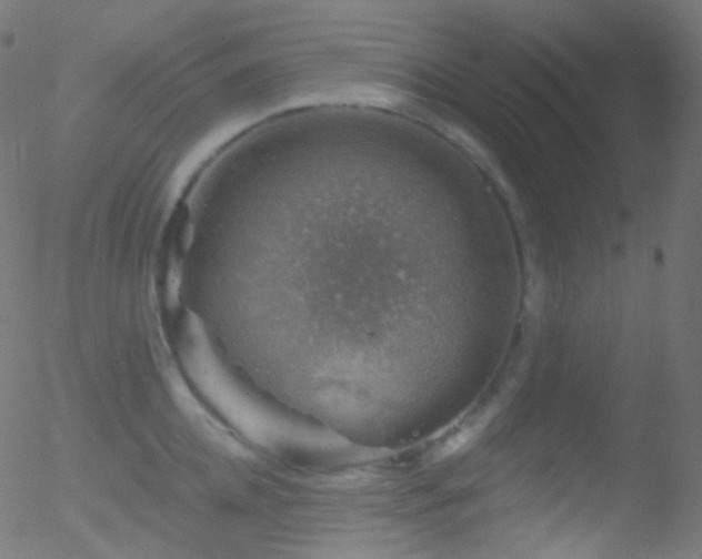 X0000052570952200507011217