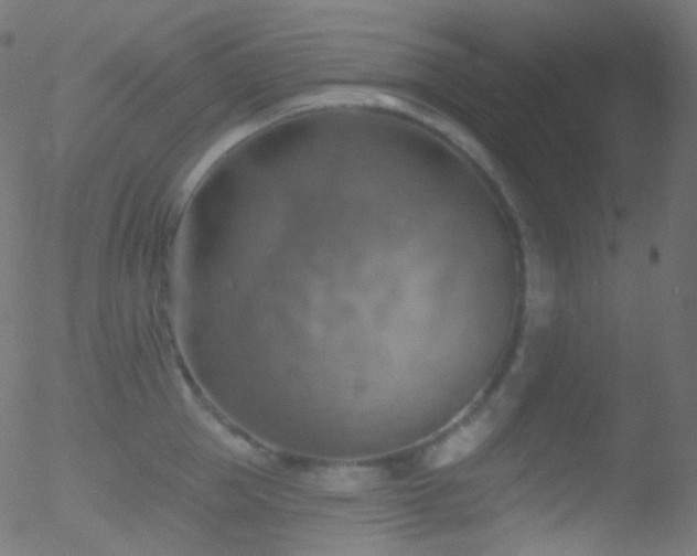 X0000052570953200507011217