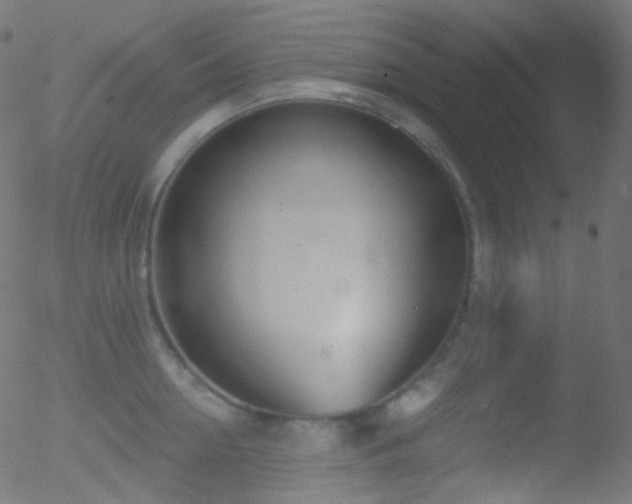 X0000052570954200507011217