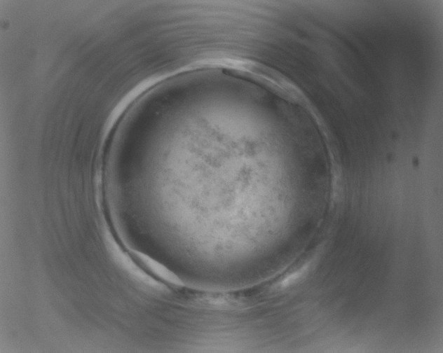 X0000052570955200507011217