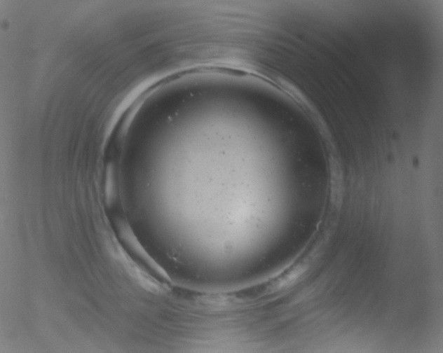 X0000052570956200507011217