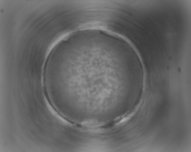 X0000052570957200507011217