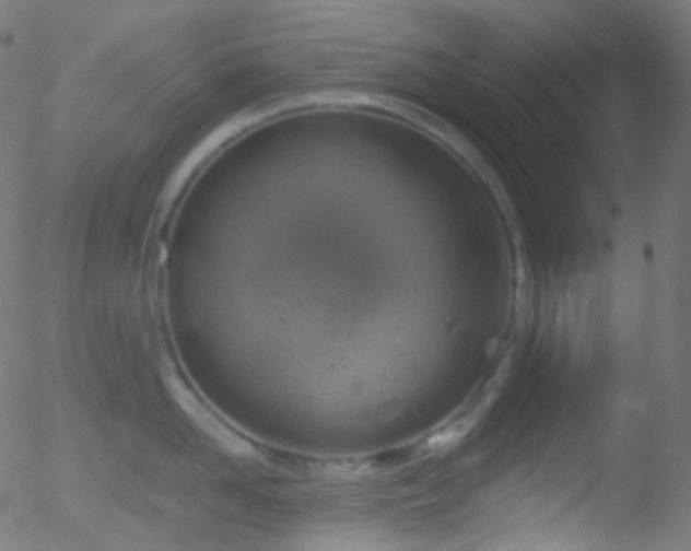 X0000052570958200507011217