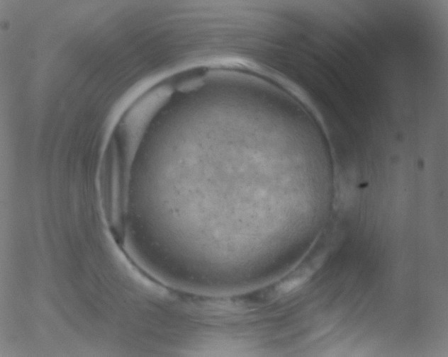 X0000052570959200507011217