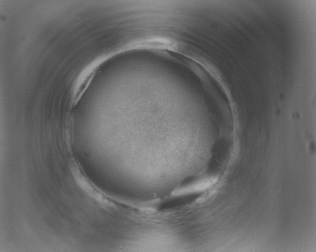 X0000052570960200507011217