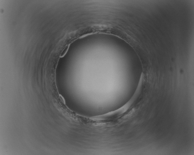 X0000052570961200507011217