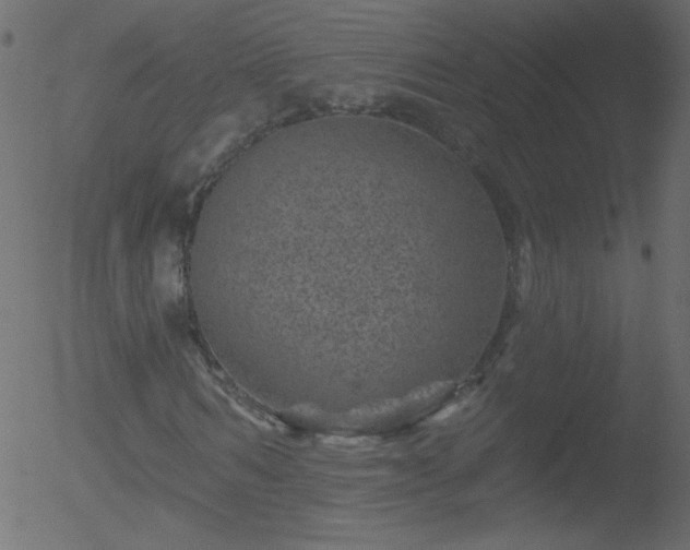 X0000052570962200507011217