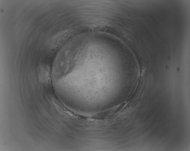 X0000052570963200507011217