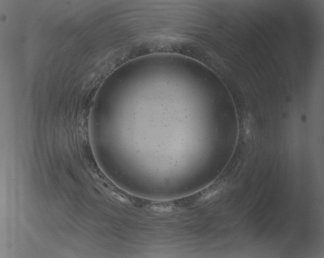 X0000052570964200507011217