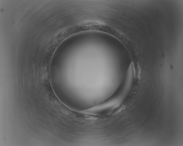 X0000052570965200507011216