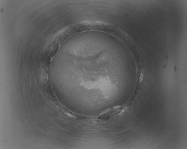 X0000052570966200507011216