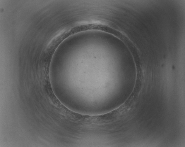 X0000052570967200507011216