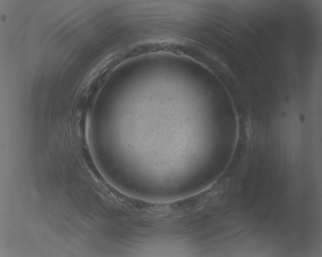 X0000052570968200507011216