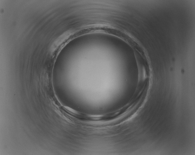 X0000052570969200507011216