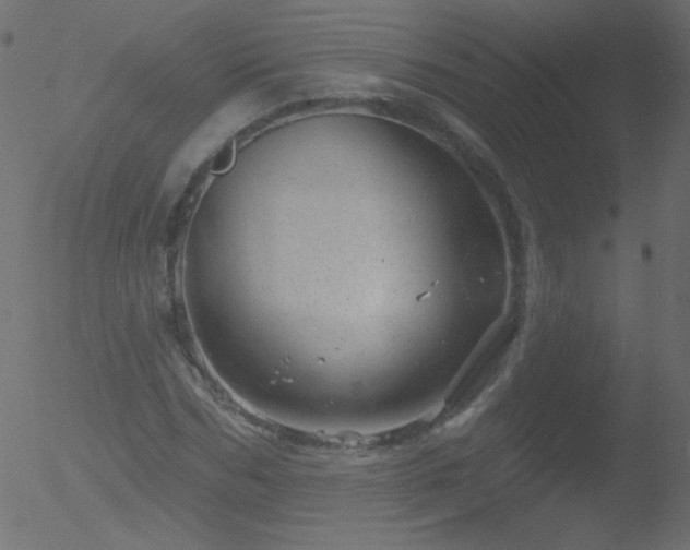 X0000052570970200507011216