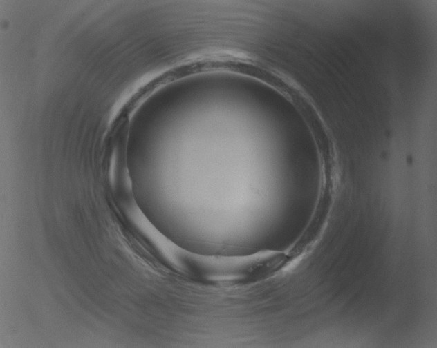 X0000052570973200507011216