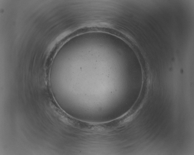 X0000052570974200507011216