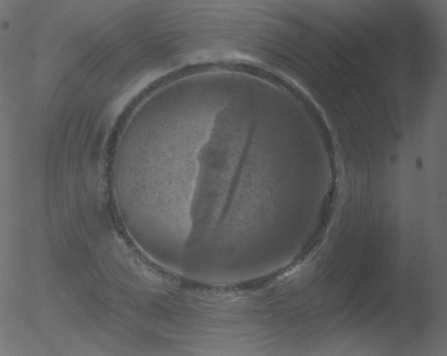 X0000052570975200507011216