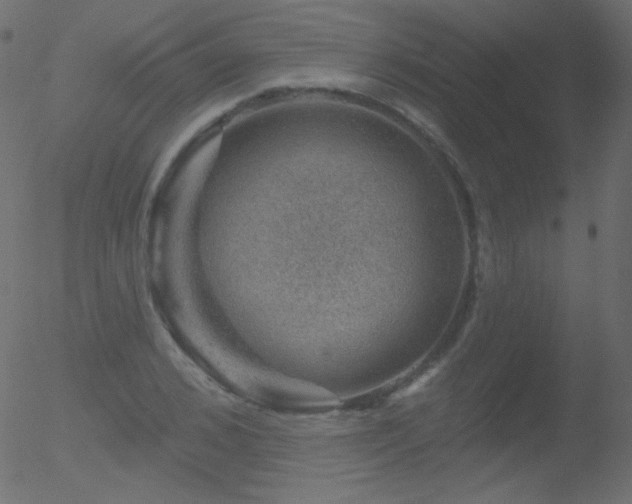 X0000052570976200507011216